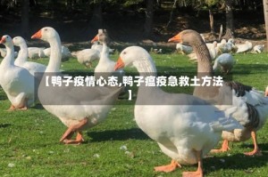 【鸭子疫情心态,鸭子瘟疫急救土方法】