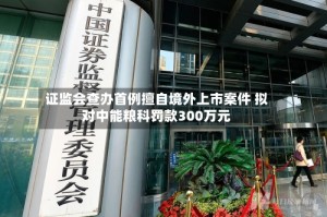 证监会查办首例擅自境外上市案件 拟对中能粮科罚款300万元