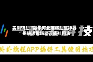 实测辅助“微乐河北麻将助赢神器”揭秘透视辅助万能挂用法