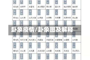 卦象疫情/卦象图及解释