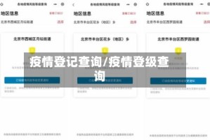 疫情登记查询/疫情登级查询