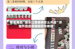 教程辅助“微乐江西麻将怎么开挂”详细外挂透视辅助软件教程