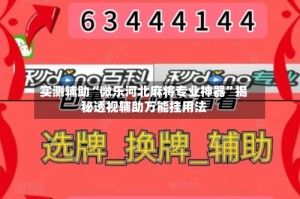 实测辅助“微乐河北麻将专业神器”揭秘透视辅助万能挂用法