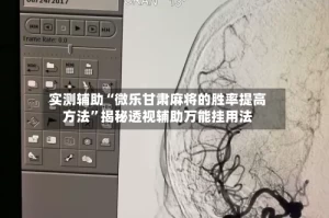 实测辅助“微乐甘肃麻将的胜率提高方法”揭秘透视辅助万能挂用法