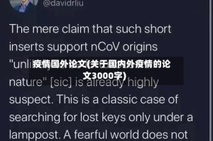 疫情国外论文(关于国内外疫情的论文3000字)