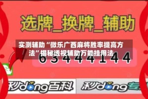 实测辅助“微乐广西麻将胜率提高方法”揭秘透视辅助万能挂用法