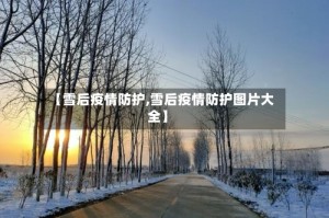 【雪后疫情防护,雪后疫情防护图片大全】