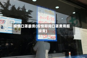 疫情口罩最贵(疫情期间口罩费用超级贵)