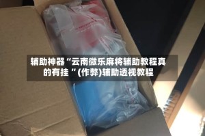 辅助神器“云南微乐麻将辅助教程真的有挂 ”(作弊)辅助透视教程