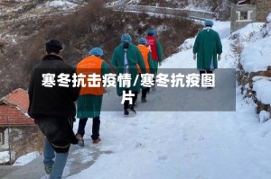 寒冬抗击疫情/寒冬抗疫图片