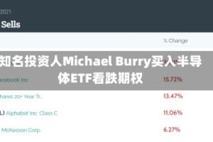 知名投资人Michael Burry买入半导体ETF看跌期权
