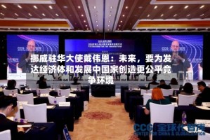 挪威驻华大使戴伟恩：未来，要为发达经济体和发展中国家创造更公平竞争环境