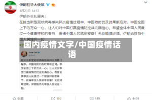 国内疫情文字/中国疫情话语