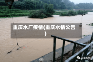 重庆水厂疫情(重庆水情公告)