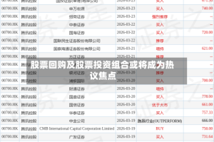 股票回购及股票投资组合或将成为热议焦点