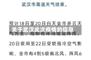 关于武汉此次疫情的信息