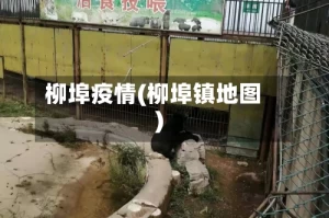 柳埠疫情(柳埠镇地图)