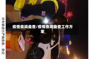 疫情夜间盘查/疫情夜间盘查工作方案