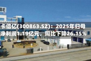 卡倍亿(300863.SZ)：2025年归母净利润1.19亿元，同比下降26.15%