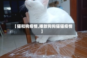 【猫和狗疫情,播放狗狗猫猫疫情】