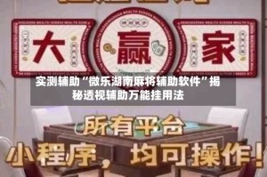 实测辅助“微乐湖南麻将辅助软件”揭秘透视辅助万能挂用法