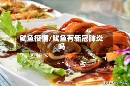 鱿鱼疫情/鱿鱼有新冠肺炎吗-第1张图片