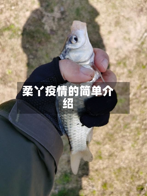 柔丫疫情的简单介绍-第1张图片