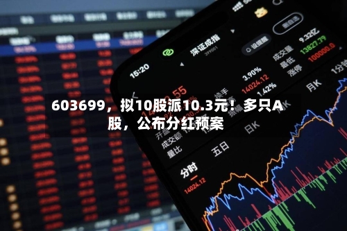 603699	，拟10股派10.3元！多只A股，公布分红预案-第3张图片