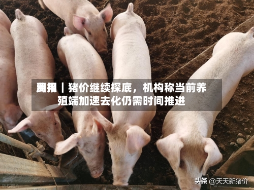 费用周报｜猪价继续探底，机构称当前养殖端加速去化仍需时间推进-第1张图片