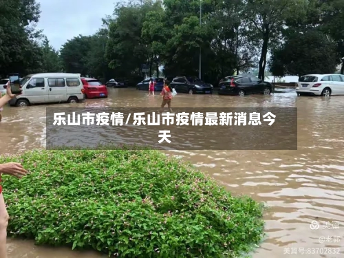 乐山市疫情/乐山市疫情最新消息今天-第1张图片