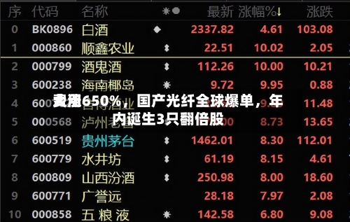 费用大涨650%，国产光纤全球爆单，年内诞生3只翻倍股-第1张图片