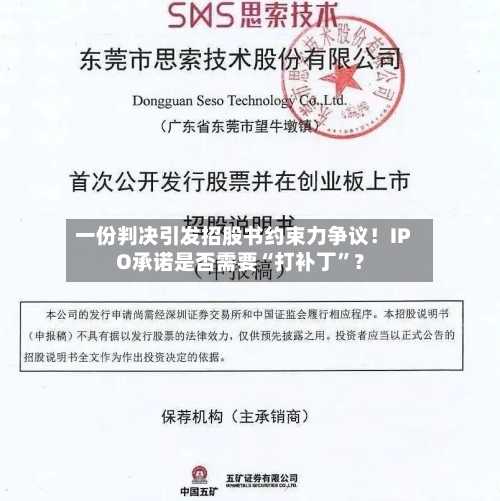 一份判决引发招股书约束力争议！IPO承诺是否需要“打补丁	”？-第3张图片