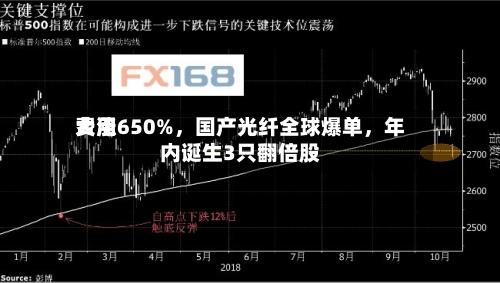 费用大涨650%，国产光纤全球爆单，年内诞生3只翻倍股-第1张图片