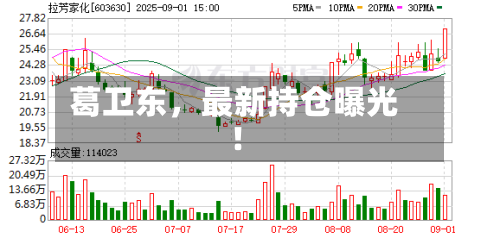 葛卫东，最新持仓曝光！-第1张图片