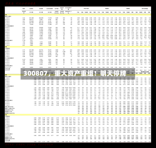 300807，重大资产重组！明天停牌-第2张图片