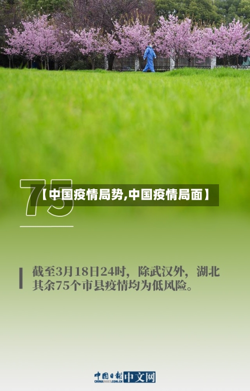 【中国疫情局势,中国疫情局面】-第1张图片