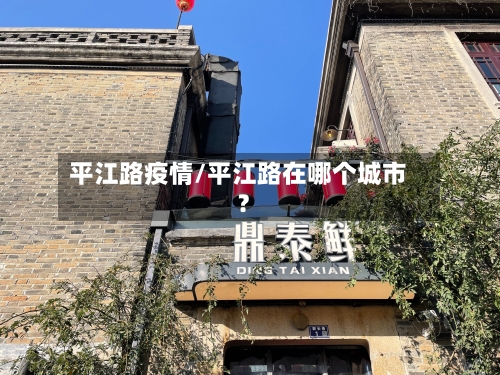 平江路疫情/平江路在哪个城市?-第1张图片