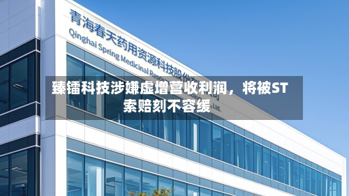 臻镭科技涉嫌虚增营收利润	，将被ST索赔刻不容缓-第1张图片