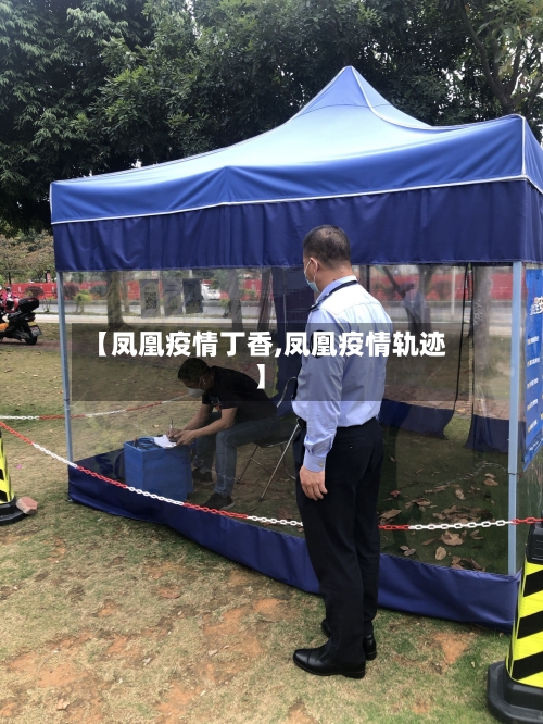 【凤凰疫情丁香,凤凰疫情轨迹】-第1张图片