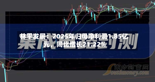 林平发展：2025年归母净利润1.85亿元，同比增长21.22%-第1张图片