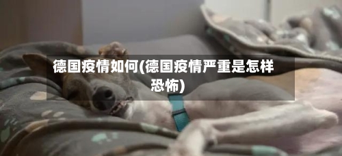 德国疫情如何(德国疫情严重是怎样恐怖)-第1张图片