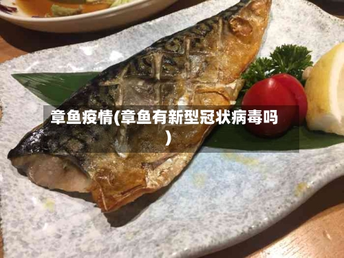 章鱼疫情(章鱼有新型冠状病毒吗)-第1张图片