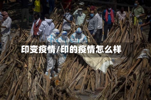 印变疫情/印的疫情怎么样-第1张图片