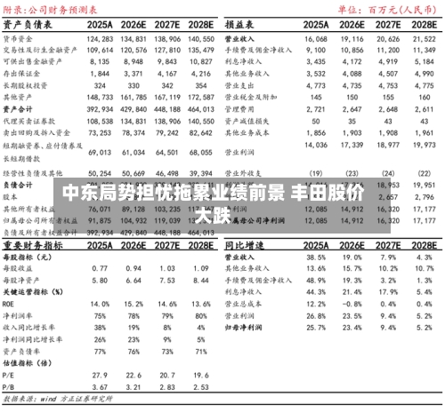 中东局势担忧拖累业绩前景 丰田股价大跌-第1张图片