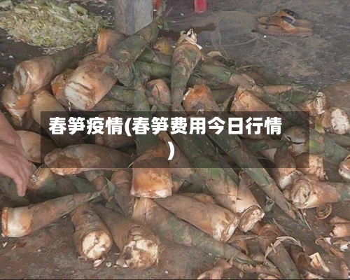 春笋疫情(春笋费用今日行情)-第1张图片