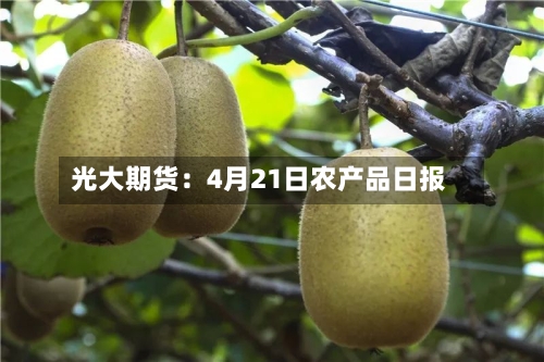光大期货：4月21日农产品日报-第3张图片