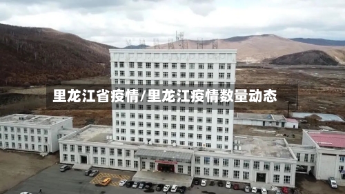 里龙江省疫情/里龙江疫情数量动态-第1张图片