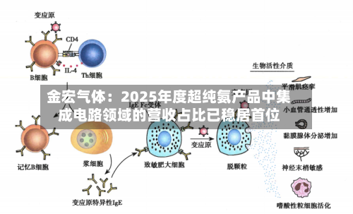 金宏气体：2025年度超纯氨产品中集成电路领域的营收占比已稳居首位-第1张图片
