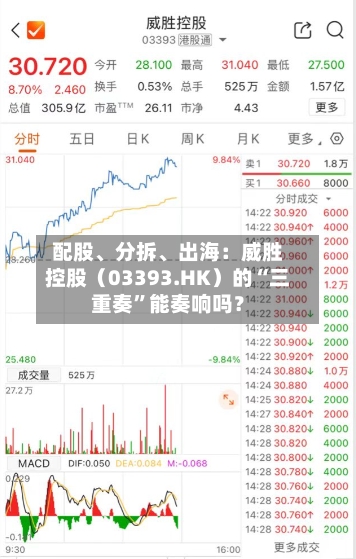配股、分拆、出海：威胜控股（03393.HK）的“三重奏”能奏响吗？-第2张图片