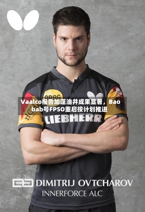 Vaalco报告加蓬油井成果显著，Baobab号FPSO重启按计划推进-第2张图片